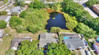 (private lake, pond, creek) Home For Sale in New Port Richey Florida