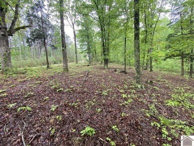 Very nice and affordable 2 acre lot in desirable Western Shores - photo 1