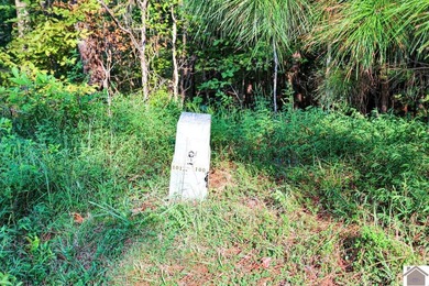 Very nice and affordable 2 acre lot in desirable Western Shores - photo 3