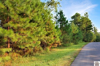 Very nice and affordable 2 acre lot in desirable Western Shores - photo 4