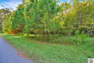 Very nice and affordable 2 acre lot in desirable Western Shores - photo 5