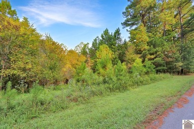 Very nice and affordable 2 acre lot in desirable Western Shores - photo 6
