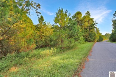 Very nice and affordable 2 acre lot in desirable Western Shores - photo 7