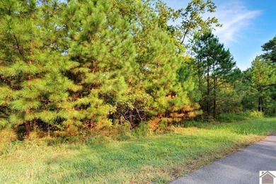 Very nice and affordable 2 acre lot in desirable Western Shores - photo 8