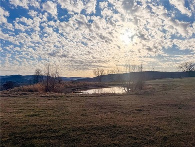 12.3 acres ready to build or place a mobile home! Scenic acreage - photo 3