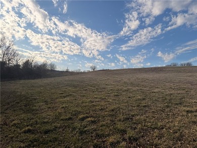 12.3 acres ready to build or place a mobile home! Scenic acreage - photo 4