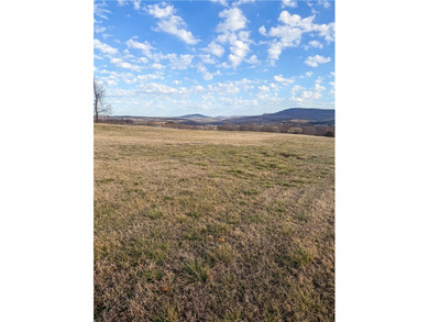 12.3 acres ready to build or place a mobile home! Scenic acreage - photo 5