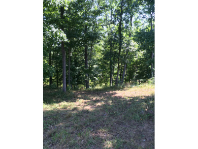 Lake Front Lot For Sale - Lake Lot For Sale in Leitchfield, Kentucky