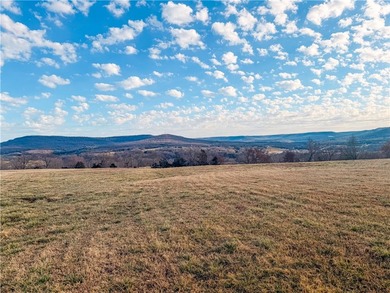 12.3 acres ready to build or place a mobile home! Scenic acreage - photo 6