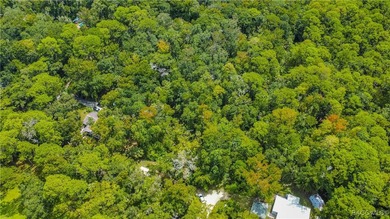 This beautiful 0.72-acre wooded property offers the perfect - photo 1