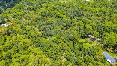 This beautiful 0.72-acre wooded property offers the perfect - photo 6