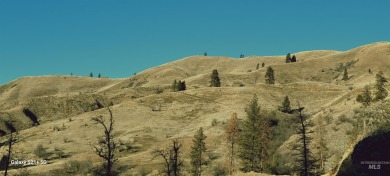 Salmon River - Idaho County Home For Sale in Lucile Idaho