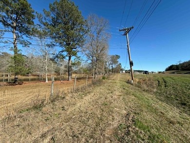 Great opportunity in a very high traffic area. This land would - photo 6