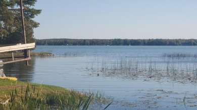 Lake Lot For Sale in Posen, Michigan