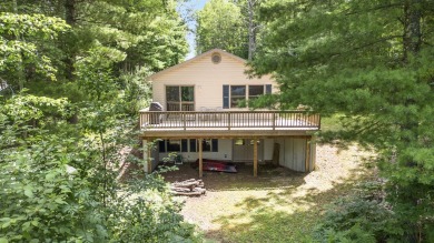 Little Bass Lake Home For Sale in Irons Michigan