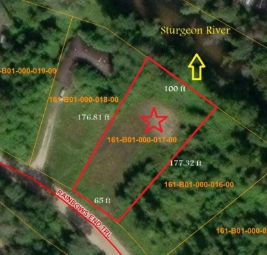Lake Lot For Sale in Indian River, Michigan
