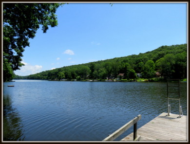 200' lakefront STONE Cottage - Lake Home For Sale in Stillwater Township, New Jersey