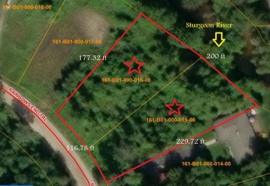 Lake Lot For Sale in Indian River, Michigan