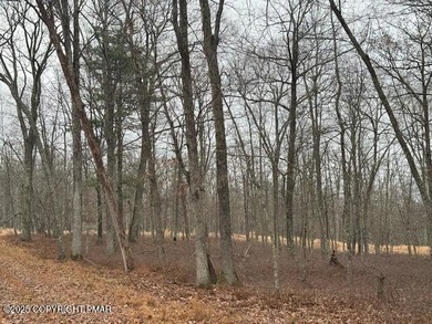 Westcolong Lake Acreage For Sale in Hawley Pennsylvania