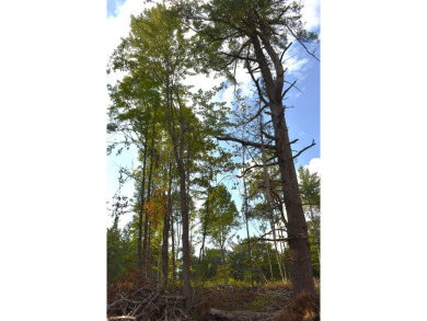 Lake Lot For Sale in Wolverine, Michigan