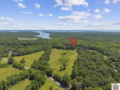 Rare doesn't even begin to cover it. This cabin-style home - photo 3