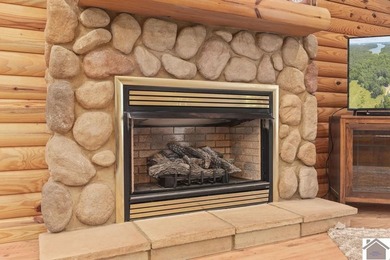 Rare doesn't even begin to cover it. This cabin-style home - photo 6