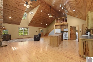 Rare doesn't even begin to cover it. This cabin-style home - photo 8