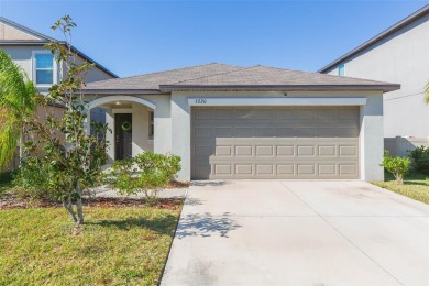 Lake Home Sale Pending in Apollo Beach, Florida