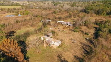Discover 23.5 attractive acres within the city limits of Timpson - photo 11