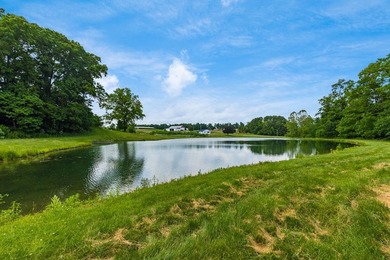 Discover the perfect blend of country living, recreation, and - photo 49