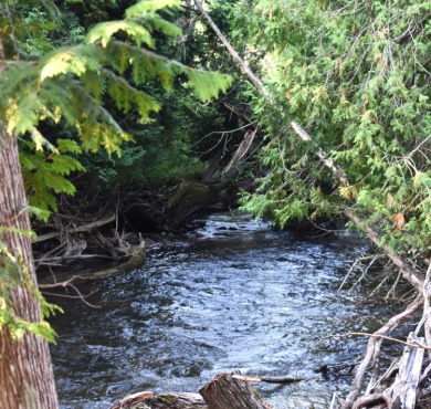 Lake Lot For Sale in Wolverine, Michigan