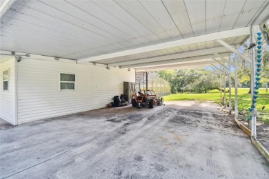 BEAUTIFUL 7 ACRES!!! Come and enjoy this single-family home PLUS - photo 9