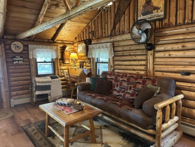 Lake Home For Sale in Hillman, Michigan
