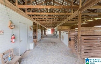 This Amazing property has room for your cattle and equine, with - photo 36
