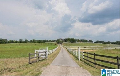 This Amazing property has room for your cattle and equine, with - photo 37