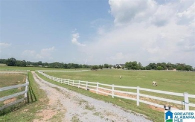 This Amazing property has room for your cattle and equine, with - photo 38