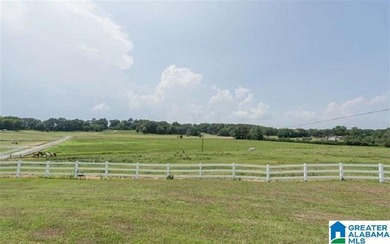 This Amazing property has room for your cattle and equine, with - photo 39