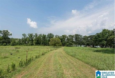 This Amazing property has room for your cattle and equine, with - photo 40