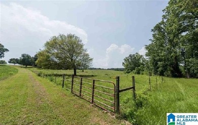 This Amazing property has room for your cattle and equine, with - photo 41
