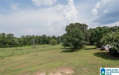 This Amazing property has room for your cattle and equine, with - photo 42