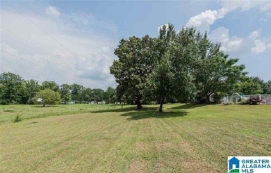 This Amazing property has room for your cattle and equine, with - photo 43