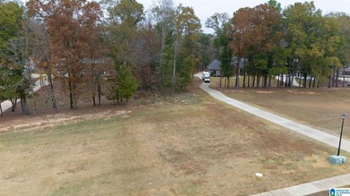 Discover the perfect setting for your future home at 3 Rising - photo 3
