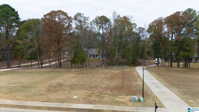 Discover the perfect setting for your future home at 3 Rising - photo 5
