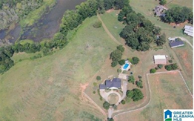 This Amazing property has room for your cattle and equine, with - photo 46