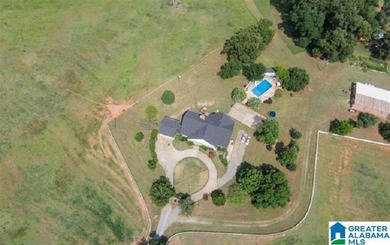 This Amazing property has room for your cattle and equine, with - photo 48