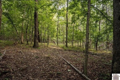 Breathing room in the lake area! 8.35 acres+/- of unrestricted - photo 4
