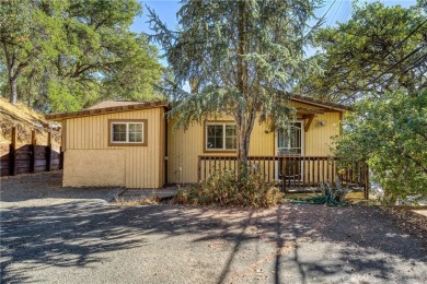 Lake Home For Sale in Clearlake Oaks, California