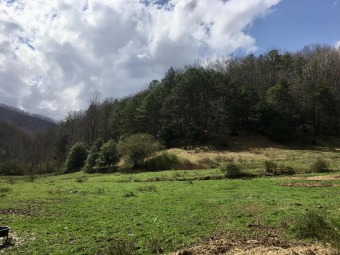 Lake Lot Off Market in Robbinsville, North Carolina