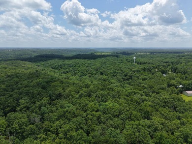 Lake Acreage For Sale in Dixon, Missouri