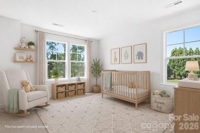 Come check out this absolutely stunning newly constructed home - photo 33